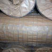 High quality welded wire mesh fence panels in 6 gauge